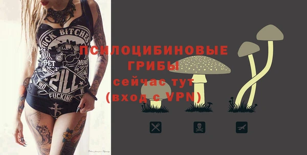 2c-b Заводоуковск